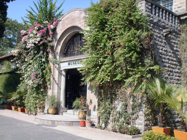 MUSEUM